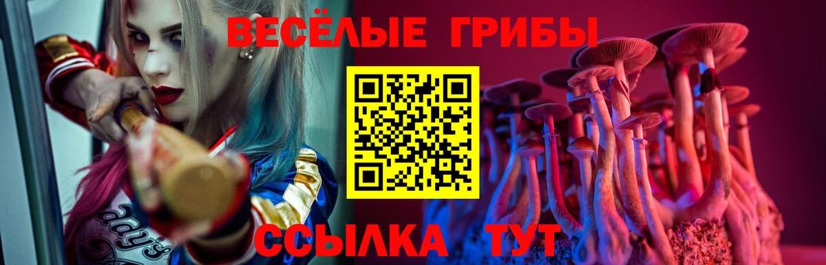 Галлюциногенные грибы мухоморы  Вход с VPN  Псилоцибиновые грибы GOLDEN TEACHER  Минусинск 